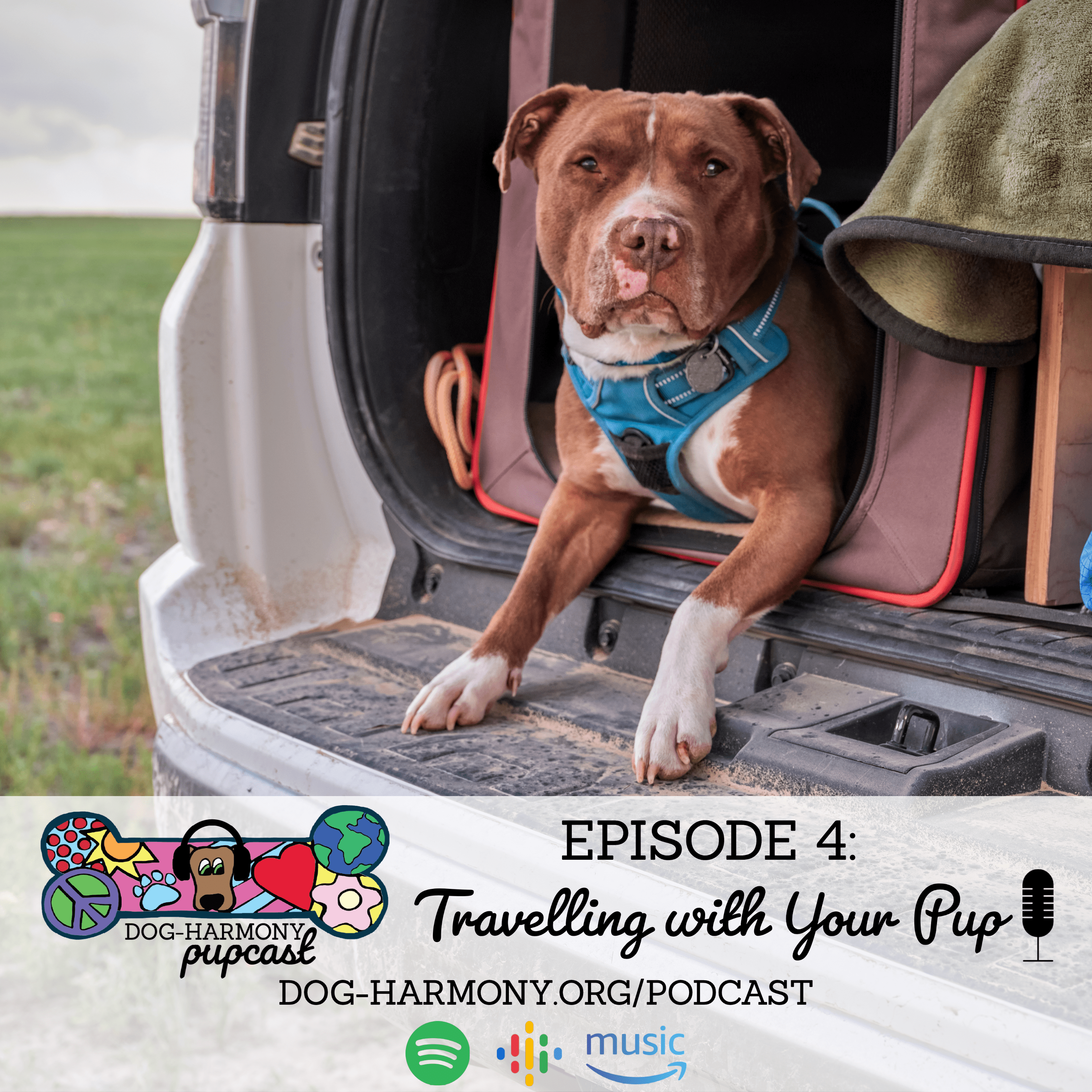 Episode 4: Travelling with Your Pup