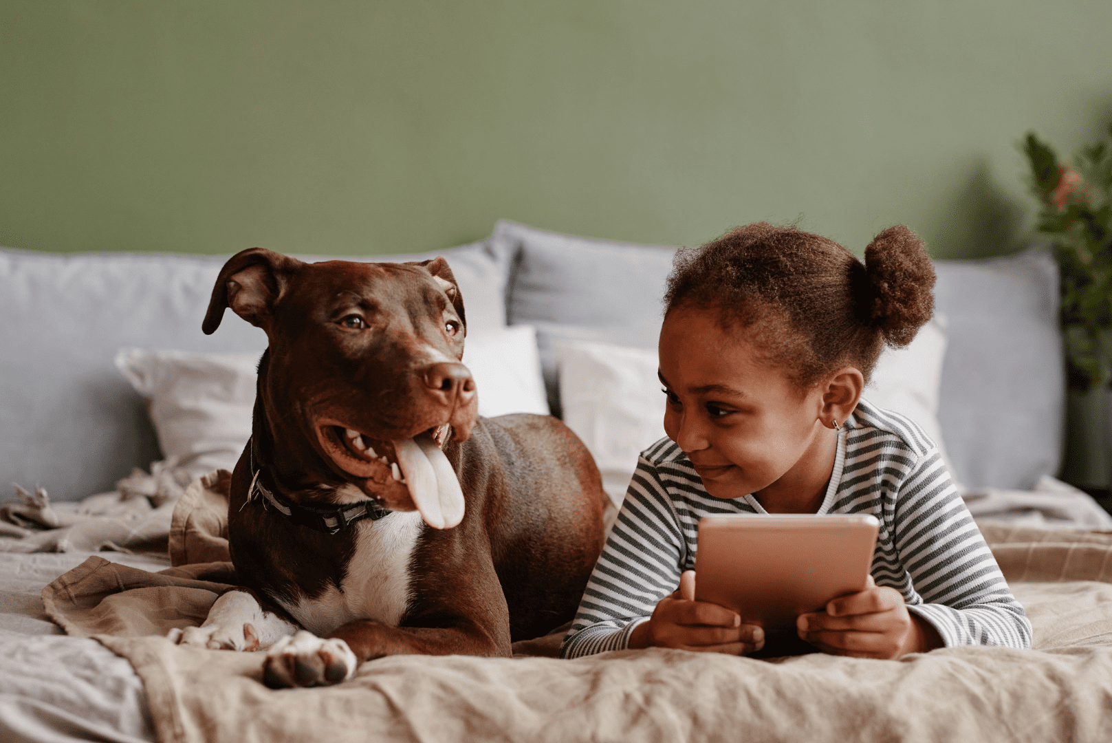 photograph of young girl reading in bed smiling at her pitbull dog lying next to her to illustrate concept of therapy dogs