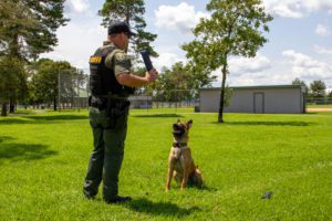Photo of Deputy Steven Tector about to throw a chew toy for K-9 Jax