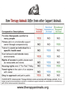 a table from intermountain therapy animals showing the difference between therapy dogs and other types of dogs