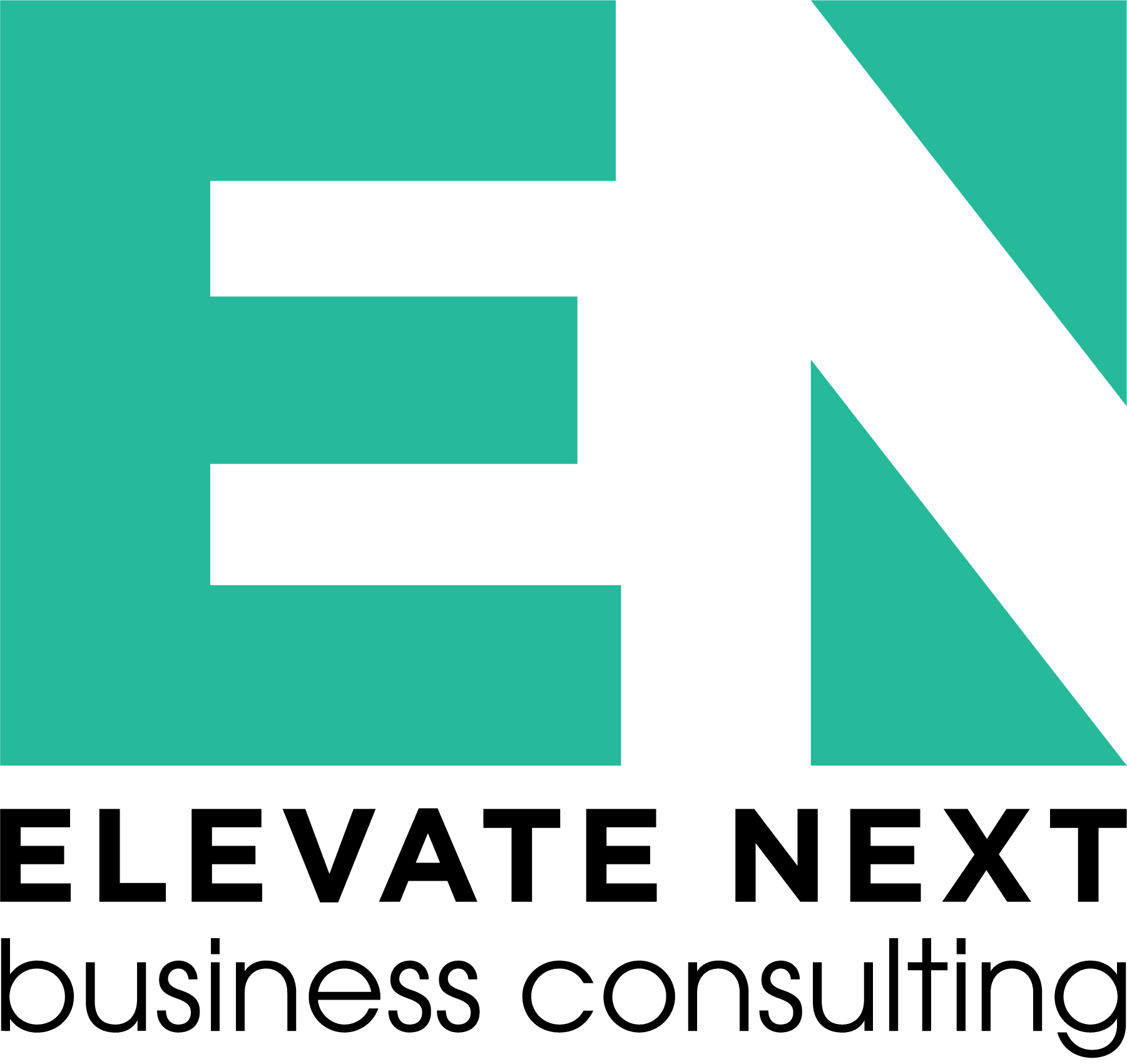 Elevate Next Logo