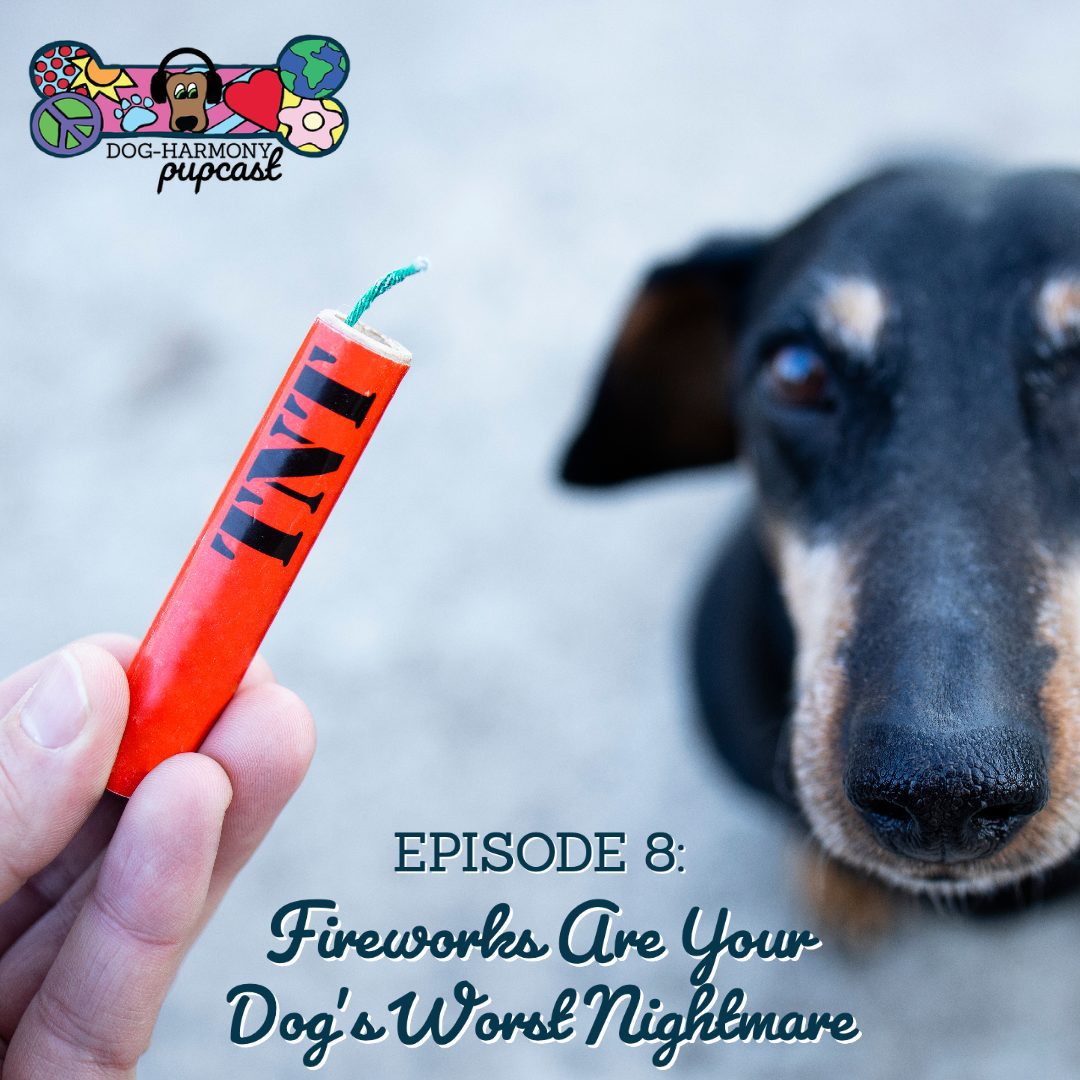 Dog Harmony Podcast Episode 8 Fireworks