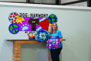 Photograph of Nancy Bown CPDT-KA holding snuffle mats up for sale at Dog-Harmony