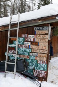 photograph of dog names attached to the side of a cabin