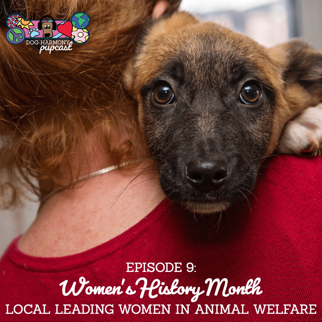 Episode 9: Women’s History Month: Leading Women in Animal Welfare
