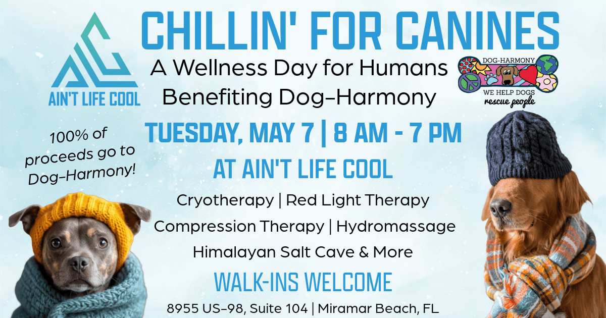 chillin for canines at ain't life cool on may 7 wellness day for humans